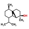 Picture of molecule