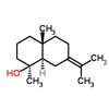 Picture of molecule