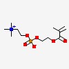 Picture of molecule