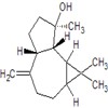 Picture of molecule