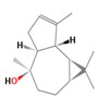 Picture of molecule